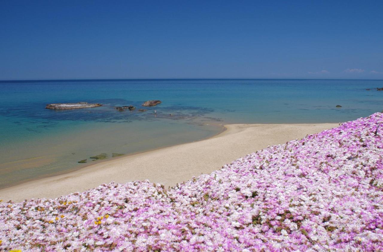 Appartamento Casa Vacanza Le Terrazze Via Parigi,23 Castelsardo Dış mekan fotoğraf